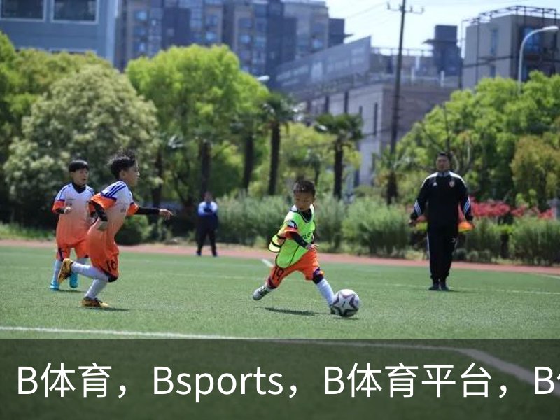 了解B体育，Bsports，B体育平台，B体育下载